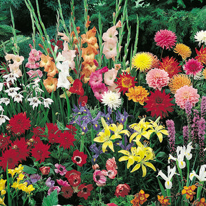 Garden Spectacular (57 Bulbs) HSF