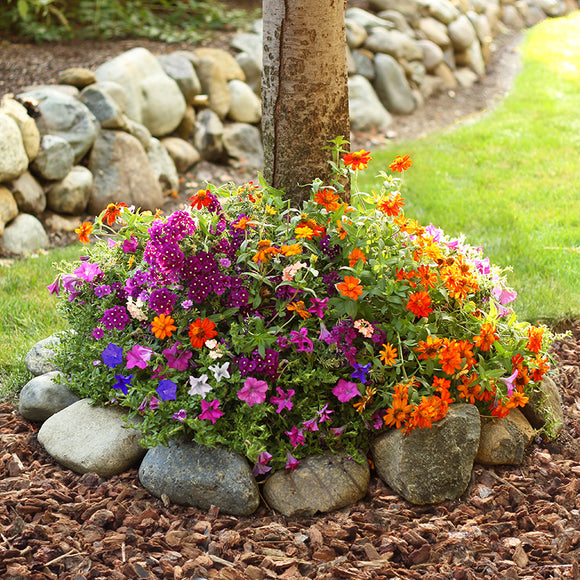 Sunny Tree Ring Flower Mat - SHF