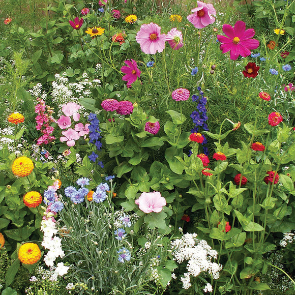 wildflower seed mat English Cottage Garden Flower Mat – IRaiseMore.com