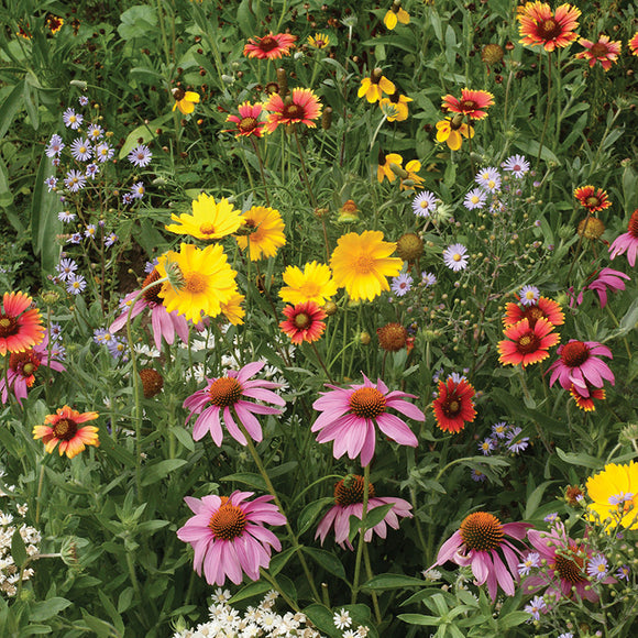 Honeybee Garden Flower Mat - SHF