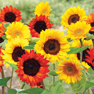 Sunflower - Flower Mat