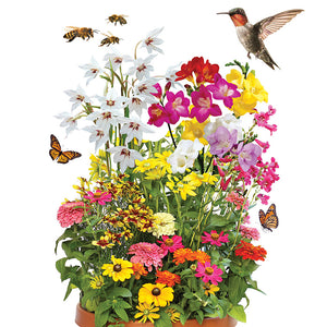 Birds, Bees & Butterfly Collection (31 Bulbs) + 1 Flower Mat + 1 Seed Packet