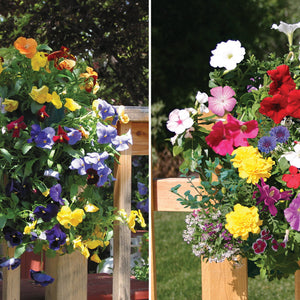 Two Sun-Loving Saddlebag Seed Kits Mixed Pansy & Mixed Lobelia (2 Seed Kits)