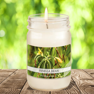 Vanilla Bean